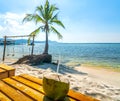 Sunny seascape with tropical palms on beautiful sandy beach in Phu Quoc island, Vietnam Royalty Free Stock Photo