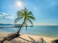 Sunny seascape with tropical palms on beautiful sandy beach in Phu Quoc island, Vietnam Royalty Free Stock Photo