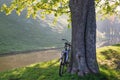 Sunny September morning in the park of Nesvizh Royalty Free Stock Photo