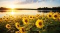 Sunny and serene landscape of lake and flowers Royalty Free Stock Photo