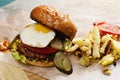 Sunny side up burger Royalty Free Stock Photo