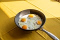 Sunny side up eggs, fried eggs in a pan Royalty Free Stock Photo