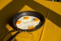 Sunny side up eggs, fried eggs in a pan Royalty Free Stock Photo