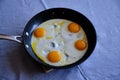 Sunny Side Up Eggs in a Pan Royalty Free Stock Photo