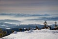Slnečné snehové pole s borovicami a modrými hrebeňmi Orava Slovensko