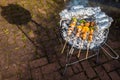 Sunny Spring Day Barbecue