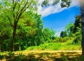 Spring, Cerdanyola del Valles