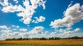 Sunny spring day in countryside. Agricultural land, blue sky with clouds