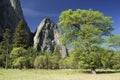 Sunny spring day in Yosemite Valley Royalty Free Stock Photo