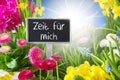 Sunny Spring Flower Meadow, Zeit Fuer Mich Means Time For Me Royalty Free Stock Photo