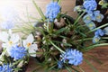 Sunny Spring Flowers, Crocus And Grape Hyacinth