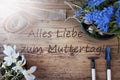 Sunny Spring Flowers, Muttertag Means Happy Mothers Day Royalty Free Stock Photo