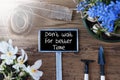 Sunny Spring Flowers, Sign, Quote Dont Wait For Better Time