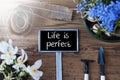 Sunny Spring Flowers, Sign, Quote Life Is Perfect