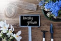 Sunny Spring Flowers, Sign, Text Locally Grown