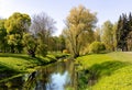 Sunny spring landscape with small pond with a weeping willow on the shore in Victory Park, Riga Royalty Free Stock Photo