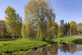 Sunny spring landscape with small pond with a weeping willow on the shore in Victory Park Royalty Free Stock Photo