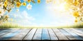Sunny Spring Meadow Wooden Table Background Flowers Nature Sky Royalty Free Stock Photo