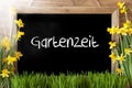 Sunny Spring Narcissus, Chalkboard, Gartenzeit Means Garden Time Royalty Free Stock Photo