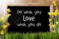 Sunny Spring Narcissus, Chalkboard, Quote Do What You Love