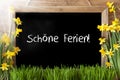 Sunny Spring Narcissus, Chalkboard, Schoene Ferien Means Happy Holidays