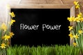 Sunny Spring Narcissus, Chalkboard, Text Flower Power