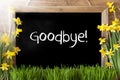 Sunny Spring Narcissus, Chalkboard, Text Goodbye