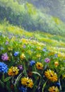 Sunny spring summer painting wildflowers