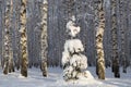 Sunny spruce tree underneath the snow, winter birch forest on background Royalty Free Stock Photo