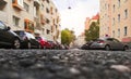 Sunny street with parked cars