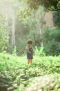 A lively little boy in blue overalls stands among the bushes in the park Royalty Free Stock Photo