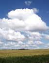 Sunny summer afternoon with storm clouds over a cereal field. Royalty Free Stock Photo