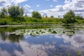 Sunny summer day. The blue sky with clouds is reflected in a pond with yellow water lilies. landscape