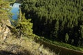 Sunny summer day in mountains with bright lush green pine forest, shadow, curved blue thin river in rocky canyon in golden. Royalty Free Stock Photo