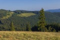 On a sunny summer day, the view from the plateau to the forest and mountains. Blue sky, lots of green grass and trees. Royalty Free Stock Photo