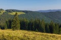 On a sunny summer day, the view from the plateau to the forest and mountains. Blue sky, lots of green grass and trees. Royalty Free Stock Photo