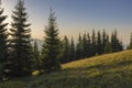 On a sunny summer day, the view from the plateau to the forest and mountains. Blue sky, lots of green grass and trees. Royalty Free Stock Photo