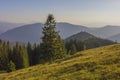 On a sunny summer day, the view from the plateau to the forest and mountains. Blue sky, lots of green grass and trees. Royalty Free Stock Photo