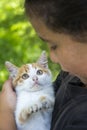 In the summer in the village, a girl holds a white-red little kitten in her arms Royalty Free Stock Photo