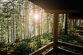 Sunny summer in a forest house in nature
