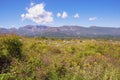 Sunny summer landscape. Montenegro, Ulcinj. Beautiful meadow with wildflowers near Old Town Shas