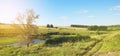 Sunny summer landscape with wheat field and trees Royalty Free Stock Photo