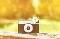 Sunny summer photo retro camera Royalty Free Stock Photo