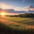 Sunny summer rural landscape with birch trees and green rye field at sunset made with Generative AI Royalty Free Stock Photo