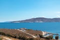 Sunny summer sea coast with olive trees, Greece Royalty Free Stock Photo