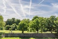 People picnicking in a park amongst trees, plane trails in the sky Royalty Free Stock Photo