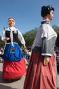 Giants parade in Dunkirk - Flanders