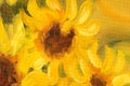 Sunny Sunflowers Oil painting on canvas. Royalty Free Stock Photo