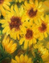 Sunny Sunflowers Oil painting on canvas. Royalty Free Stock Photo