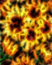 Sunny Sunflowers Oil painting on canvas. fractal effect. Royalty Free Stock Photo